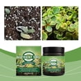 thumbnail image 5 of Soils Activator, Soil Nutrient Supplement for Potted Plants, Daily Maintenance Plant Food, Convenient Use Soil Booster for Indoor Outdoor Container Gardening, 5 of 9