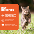 thumbnail image 3 of Forza10 Renal Wet Cat Food for Adult Cats - 3.5 oz, 4 Pack - Lamb Flavor | Actiwet Renal Support - Vet-Formulated, Non-GMO - Kidney Support for Adult Cats - Made in Italy, 3 of 6