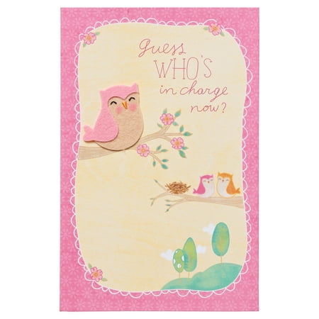 American Greetings Who's In Charge Now New Baby Congratulations (Best Gift Card For New Baby)