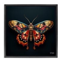 Stupell Industries Vivid Patterned Moth Animals & Insects Painting Black Floater Framed Canvas Art Print Wall Art, 25 x 25