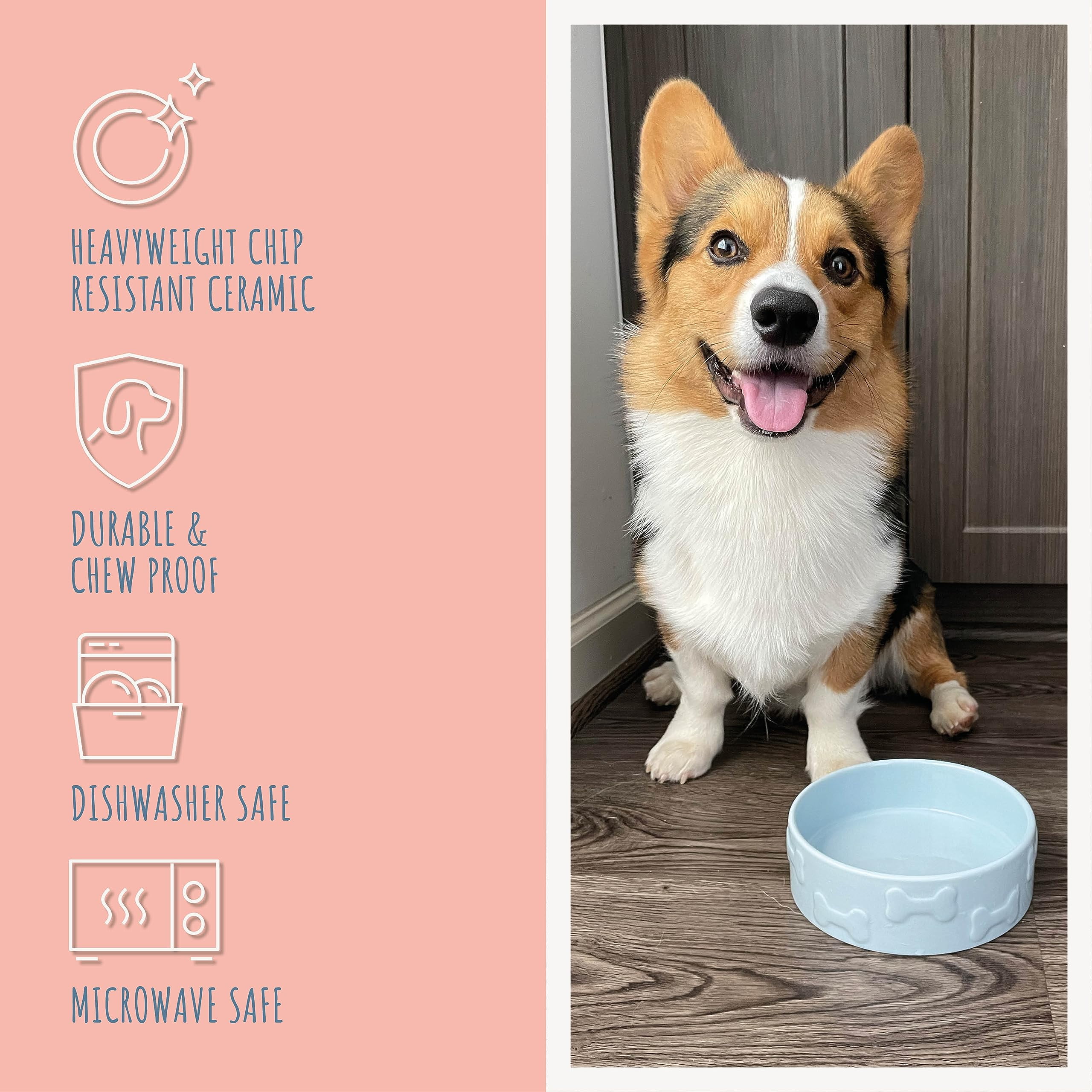 Park Life Designs Ceramic Manor Pet Bowl, Azure, Small