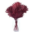 thumbnail image 4 of Vickerman Natural Botanicals 13.75 - 19.5" Deep Red Dried Palm Sun Spear, 12 per bag., 4 of 4