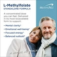 thumbnail image 3 of MethylPro 10mg L-Methylfolate - Professional Strength Active Methyl Folate Supplement for Brain Support & Balanced Mood - Gluten-Free Cognitive Supplement with No Fillers (30 Capsules), 3 of 8