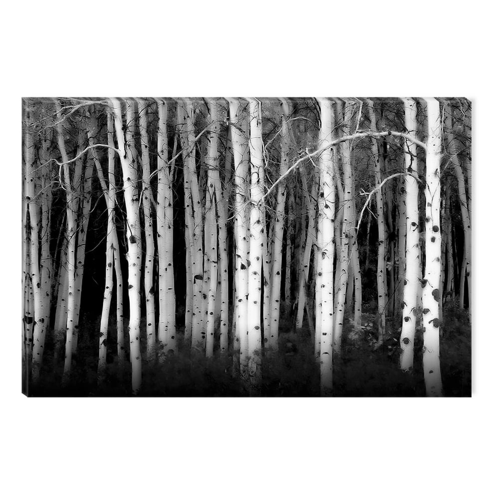 Startonight Canvas Wall Art Black and White Abstract Deep in the Forest Tree, Dual View Surprise
