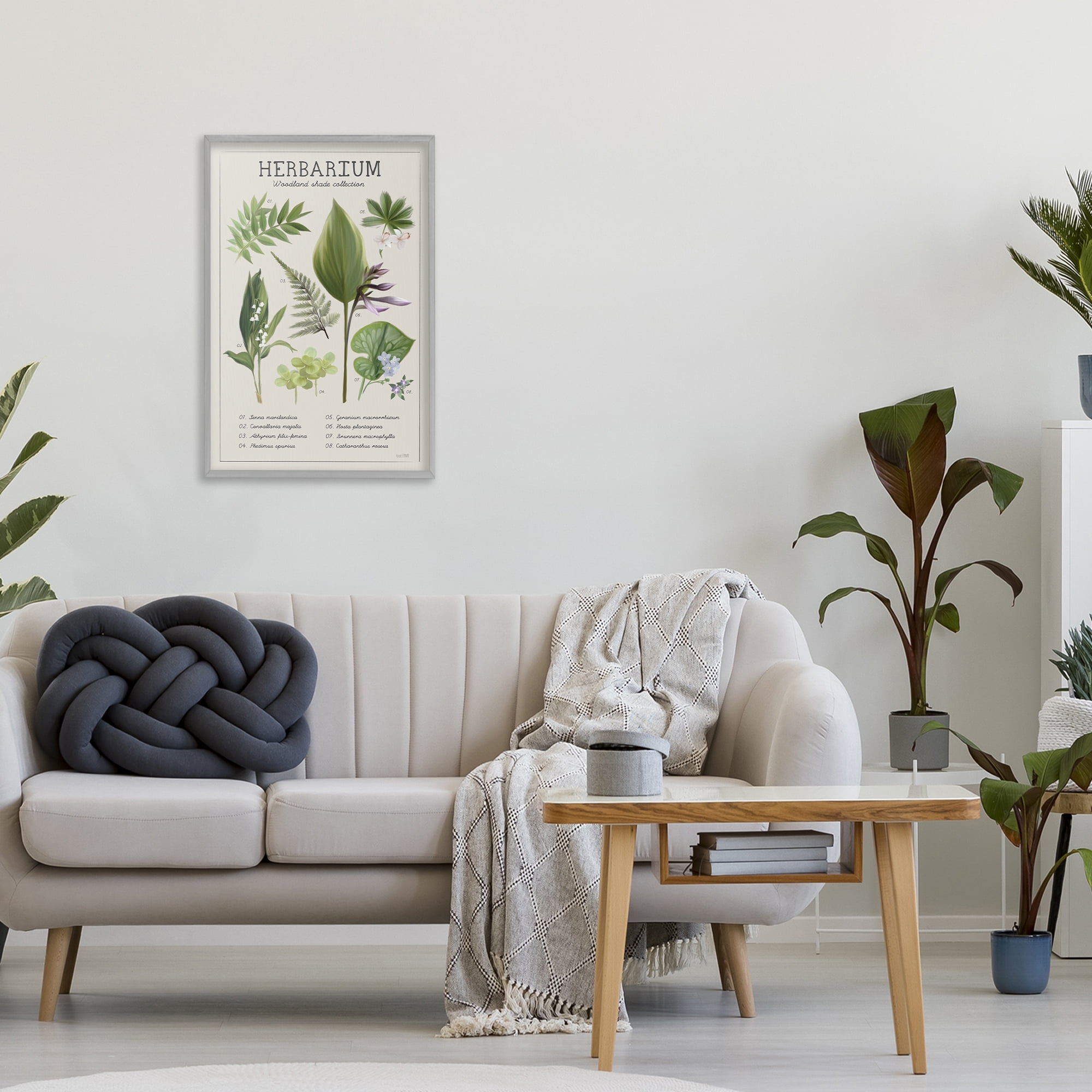 Stupell Industries Herbarium Woodland Shade Collection Gray Framed Giclee Art, design by House Fenway