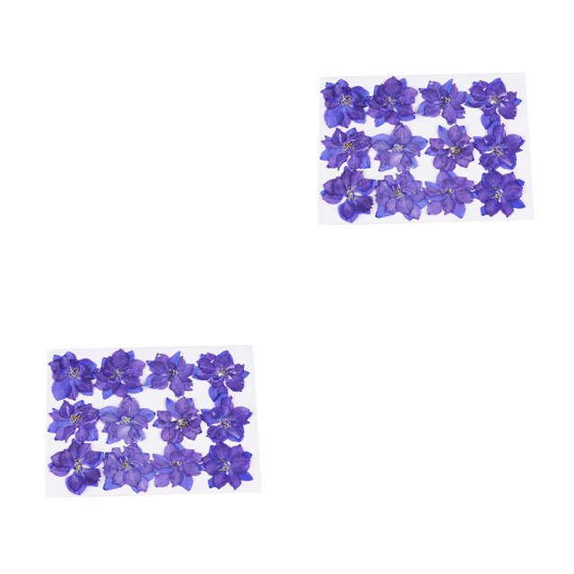Matsuzay 12 piezas de flores secas naturales sin color DIY Kit en gran comodidad suministros de álbum de recortes para carcasa de Type2 NO2