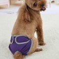 thumbnail image 4 of Pets Supplies Comfortable Magic Tape Brief Dogs Teddy Golden Retriever Walking Anti-harassment Pants, 4 of 5