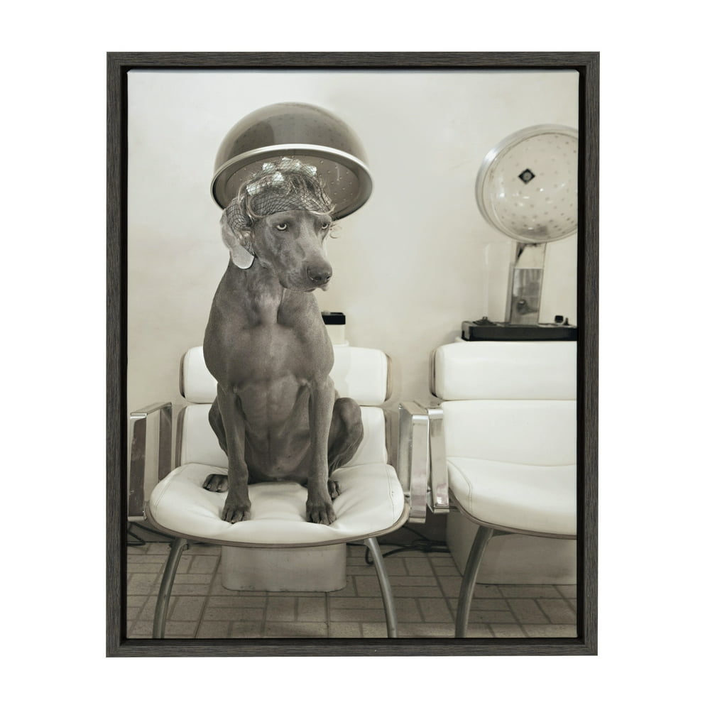 DesignOvation Sylvie Dog Salon Framed Canvas Wall Art by Robin A. Bell