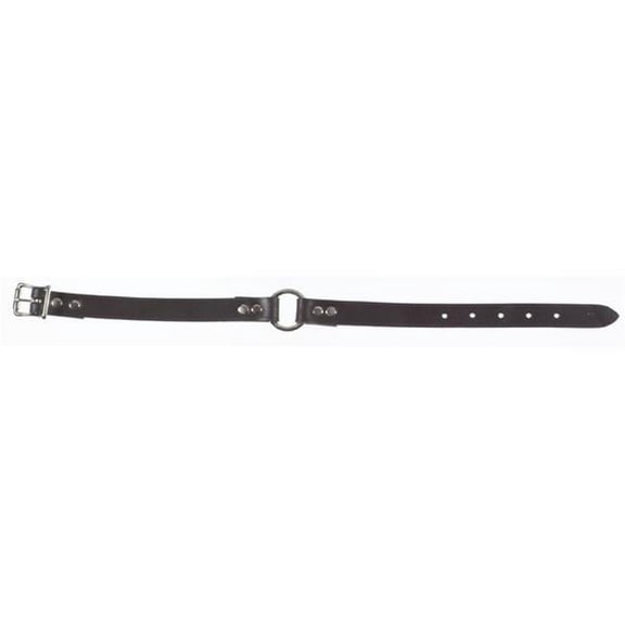 Dog Adjustable Collar 5/8" x 12" - 18" Nylon Blue