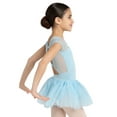 thumbnail image 2 of Capezio Keyhole Back Tutu Dress - Girls, 2 of 6