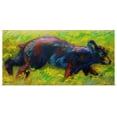 thumbnail image 1 of Great BIG Canvas | Rolled Marion Rose Poster Print entitled Run Free Cub, 1 of 4