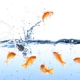 thumbnail image 2 of 1 set of Mini Oxygen Aerator Aquarium Pump Fish Tank USB Design Oxygenator, 2 of 8