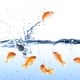 thumbnail image 3 of 1 Conjunto de Mini Aireator Aeroator Aquarium Bump Fish Tank Design Oxygenador de diseño, 3 of 8