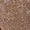 Champagne, variant on Elegant Sequins Dress For Women Polyester Fabric Split Leg Design Comfort