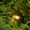 thumbnail image 2 of National Tree Company 6 ft. Pre-Lit Artificial Juniper Spiral, 2 of 3