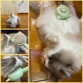 thumbnail image 4 of 5-in-1 Cat Brush w/ Release Button, One-Button Hair Removal for Cats & Dogs, Feather & Laser Teaser, Fishing Pole Toy, 4 of 7