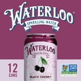 thumbnail image 5 of Waterloo Sparkling Water, Black Cherry, 12 fl oz, 12 Pack Cans, 5 of 7