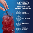 thumbnail image 4 of Synergy The Real Kombucha Gingerberry, 16 fl oz, 4 of 7