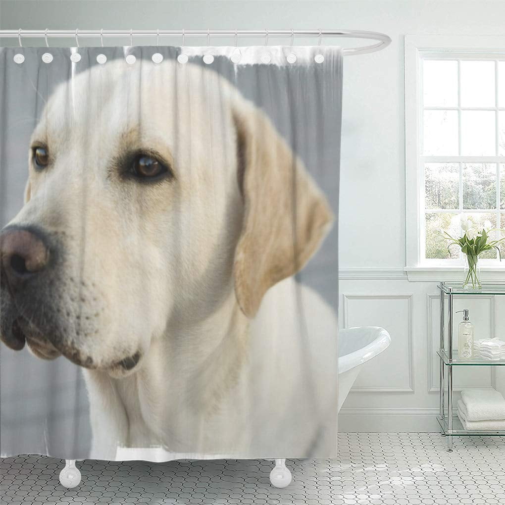 Dog Shower Curtain Terrier Labrador Breed Pets Print for Bathroom 