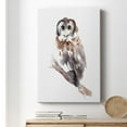 thumbnail image 6 of Barred Owl Impressions II Premium Gallery Wrapped Canvas - Ready to Hang, 6 of 9