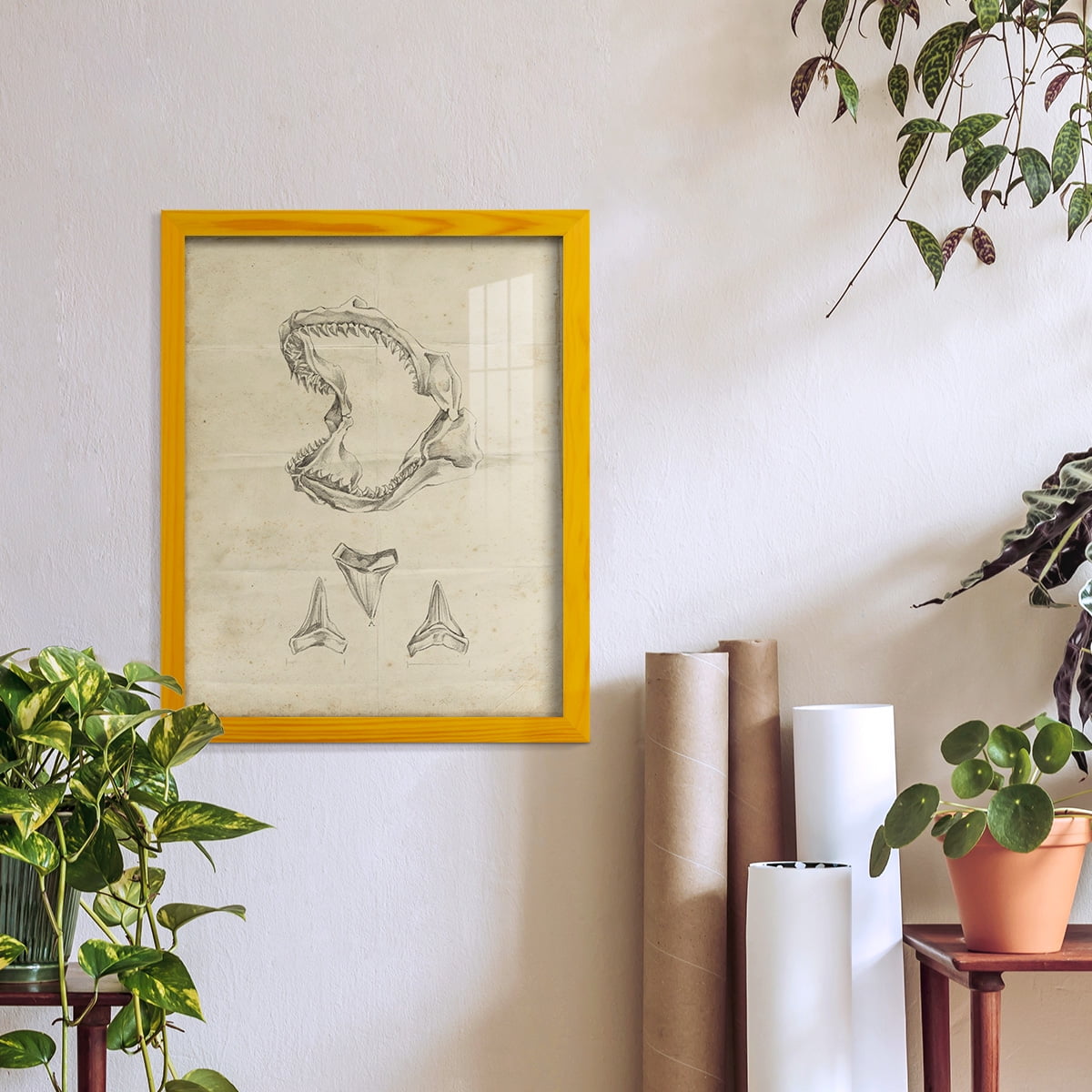 Shark Study II - Framed Print w/glass - Sunflower Yellow