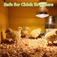 thumbnail image 6 of 80 Ounces    Radiata Pine Shavings for Chicken Coop Bedding,5LB  Pine Shavings,Super Absorbent,Low Dust,Eliminating Bad Smells for  Nesting Boxes Brooder, 6 of 6