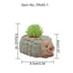 thumbnail image 2 of Macetas de plantas suculentas de animales, macetas de tortugas pequeñas, mini contenedores de plantas florales, decoración de animales, 2 of 5