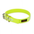 thumbnail image 2 of Play Glow Collar, 2 of 27
