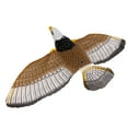 thumbnail image 1 of Juguete Interactivo Para Gatos, Forma De águila Realista, Luz Con Sonido, Juguete Automático Para Gatitos Y Pájaros Para Puerta, Pared Y Techo, 1 of 7