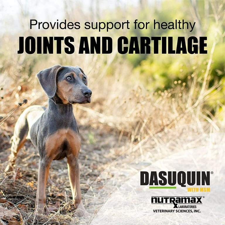 Dasuquin for cheap medium dogs