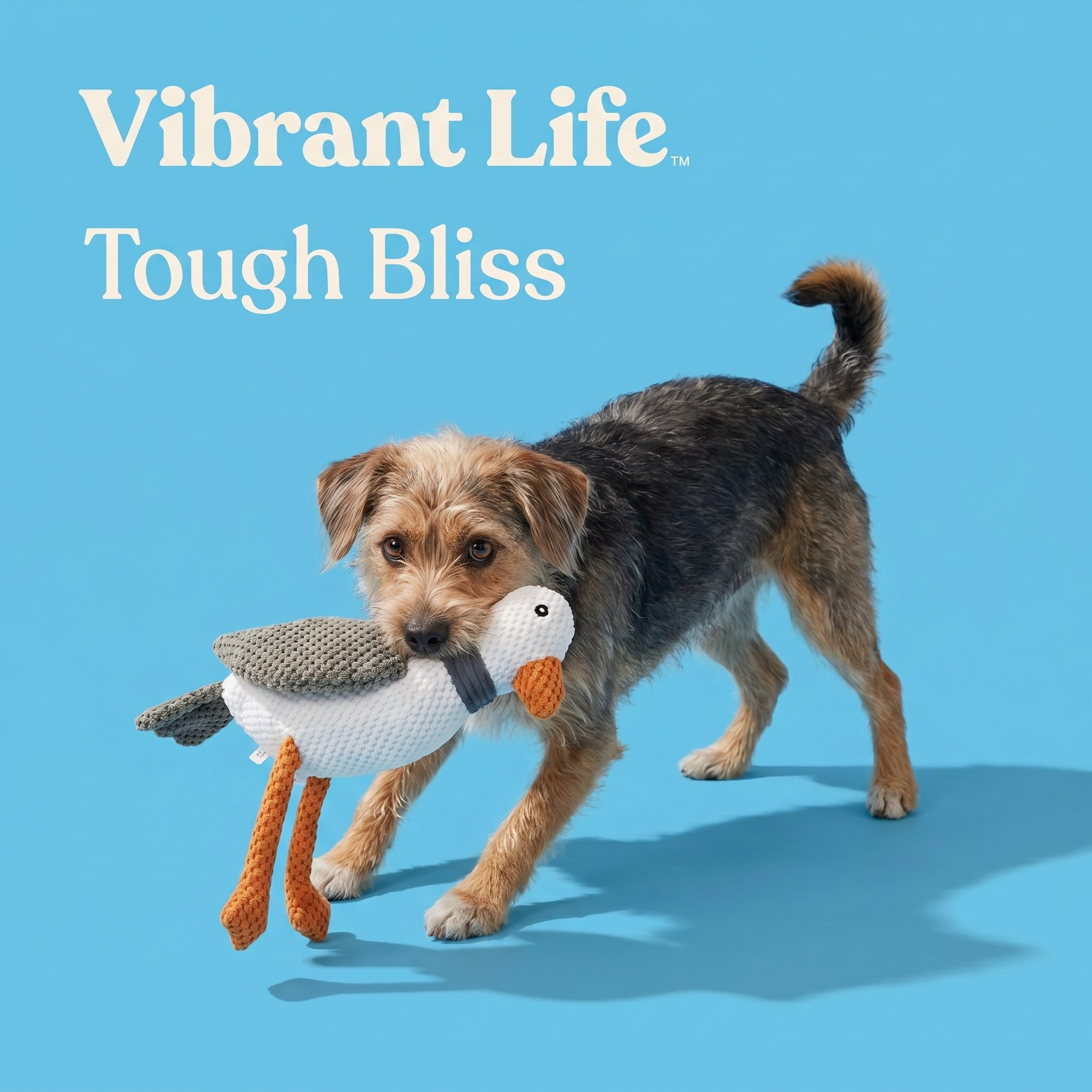 Vibrant Life White Seagull Plush Dog Toy with Squeaker photo 4