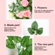 thumbnail image 3 of Decoraciones de Primavera para el Hogar Primavera Y Verano Flor Guirnaldas, Flores Artificiales, Guirnaldas de Flores Silvestres, Arcos de Boda Interiores Y Exteriores, Decoraciones de Porche Y Escale, 3 of 6
