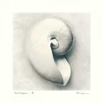 thumbnail image 2 of Amy Melious 15x15 Gallery Wrapped Canvas Wall Art Titled - Sea Shapes III, 2 of 4