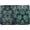 Green Succulent, variant on Gold Sequin Sparkle Print All-Season Indoor Outdoor Doormat,Multi-Functional and Stylish Home Decor