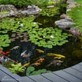 thumbnail image 3 of Aquascape 98948 250g-8.8oz Beneficial Bacteria for Ponds-Dry, 3 of 3