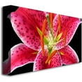 thumbnail image 2 of Trademark Art "Stargazer Lily" Canvas Wall Art by Kathie McCurdy, 2 of 2