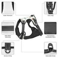 thumbnail image 6 of Lsque Cartoon House Dog Harness, No-Pull Pet Harness with 2 Leash Clips, Adjustable Soft Padded Dog Vest with Easy Control Handle for Large Dogs-Large, 6 of 9