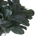 thumbnail image 2 of Hill Interiors Artificial Lambs Ear Single Stem, 2 of 2