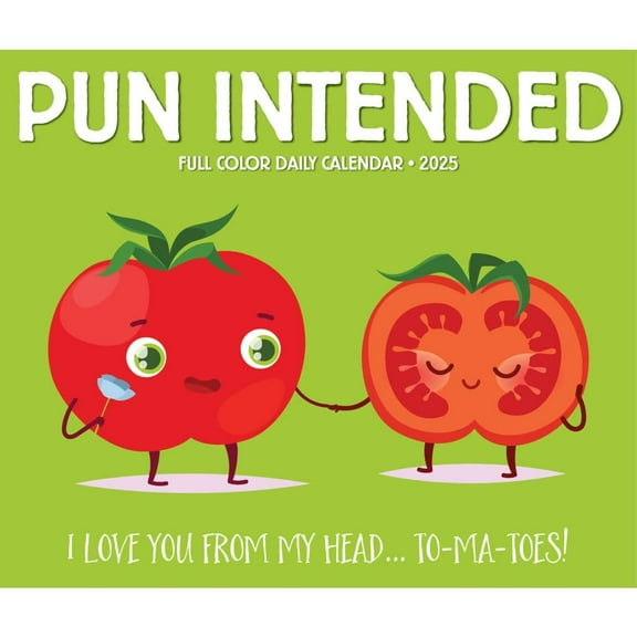 2025 Willow Creek Press Daily Desk Box Calendar, Humor & Comics, 5-1/2" x 6-1/4" , Pun Intended, January To December, 41000