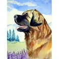 thumbnail image 1 of Carolines Treasures 7056CHF Leonberger Flag Canvas House Size, 1 of 4
