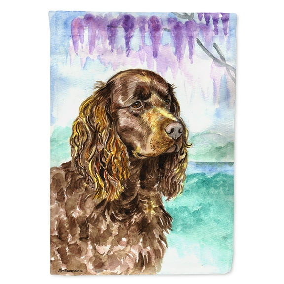 Carolines Treasures 7008-FLAG-PARENT American Water Spaniel Flag  multicolor