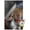 Premium Poster & Push Pin Bundle, variant on Marvel Comics - Thor - Astonishing 4 Wall Poster, 14.725" x 22.375"
