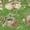 Green, variant on Addison Rugs Chantille Indoor/Outdoor Transitional Holiday Ornament Aloe Machine Washable Rectangle Rug, 10' x 14'