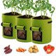 thumbnail image 1 of Bolsa de tela para cultivo de plantas, de 4, 7 y 10 galones, para flores, verduras, tomates y patatas, 1 of 5