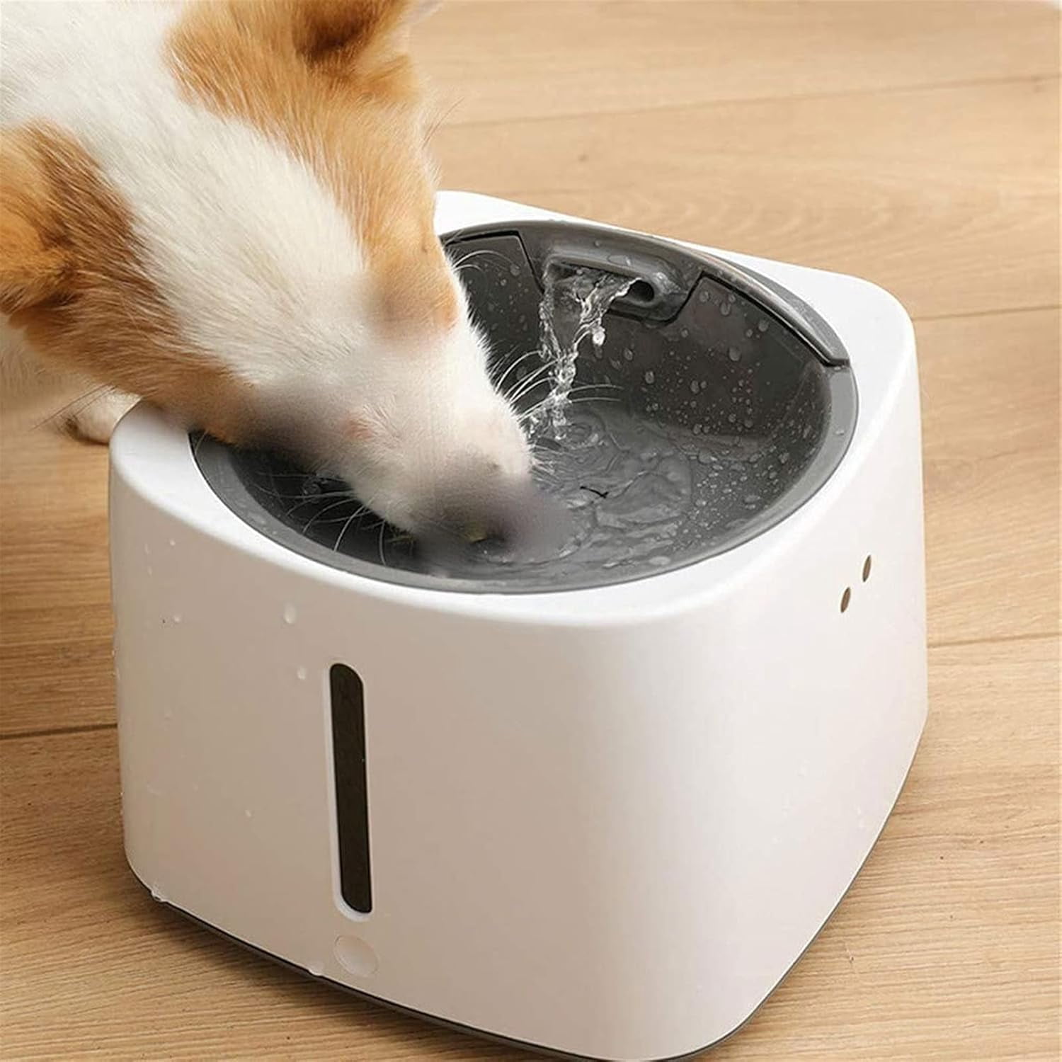 RKXQT Cat Water Fountains, Pet Water Fountain, 1.5L Kitty Water Fountains, Water Bowl Drinking Fountain for Cats, Cat Water Dispenser with LED Light,1 Cat Waterer Filter