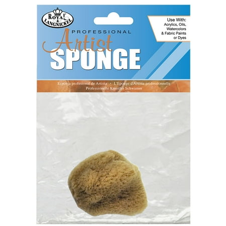 UPC: 0090672020031 | Royal Brush Artist s Sponge  Silk Sponge  2-1/2 -3