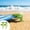 Green, variant on Taicans Beach Towel Clips 4 Pack – Windproof Sandbag Clips for Beach Mat,Picnic Blanket Holders,Heavy Duty Plastic Tent Pegs,Sand Anchor for Outdoor Camping Travel