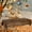 B, variant on Brown Wood Grain Tablecloth, Rustic Style Plastic Table Cover for Rectangular Table, Vintage Farmhouse Decor for Western Barn Birthday Wedding, 108x54 Inch, 1 Cloth