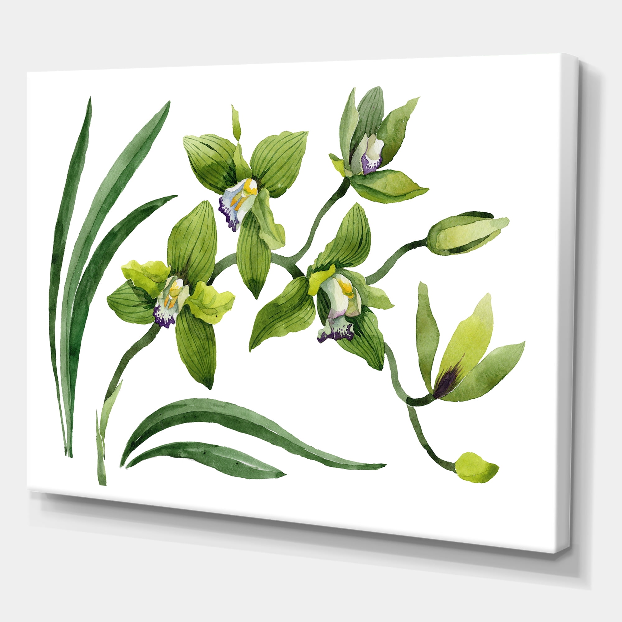 Designart ' Green Orchid Flowers On White ' Traditional Canvas Wall Art Print