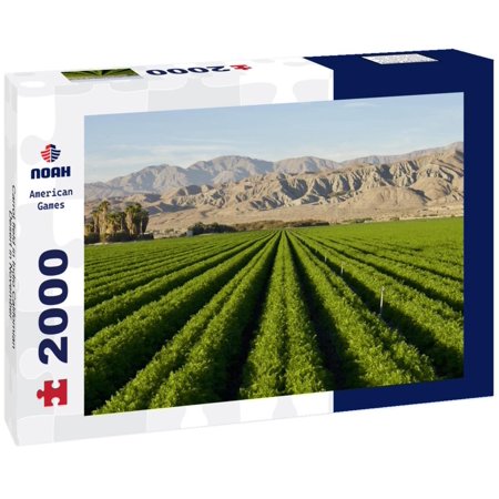Noah Jigsaw Puzzle Carrot field in Indio Californian Desert in November 2000 pieces